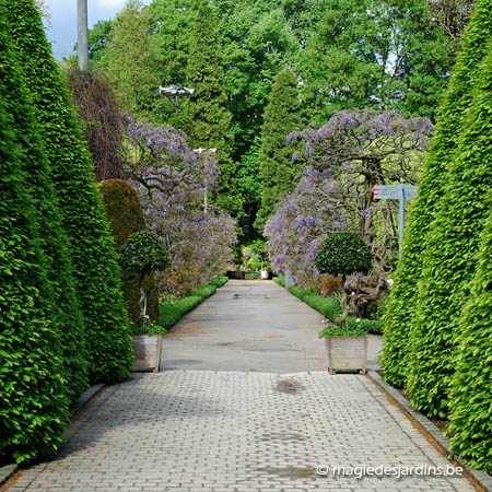 Brabant flamand: Jardin Botanique de Leuven